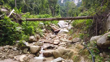 Fallen-tree,-little-water,-and-rocks-inside-the-jungle-of-Malaysia