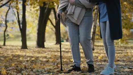 Low-section-of-female-nurse-helping-senior-woman-walking-in-park