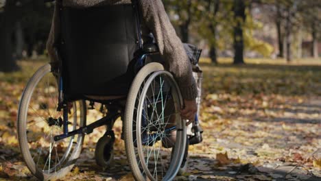 Senior-man-in-a-wheelchair-on-the-move-in-park-during-the-autumn