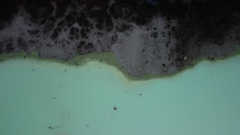 Kawah-Putih-White-Crater-in-Indonesia-with-an-Aerial-Drone-Shot-Looking-Down-with-a-Top-View-Panning-along-the-Turquoise-Acidic-Water's-Edge