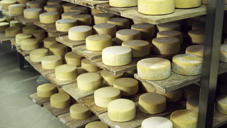 tilt-down-shot-of-cheeses-in-winery