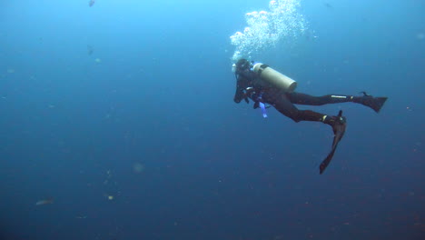 aquatic-shot-of-diver-exploring