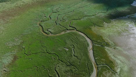 Satellite-like-view-of-Slick-Ken-Van-Voorne-floodplains,-Tidal-landscape,-River-path,-Aerial-View