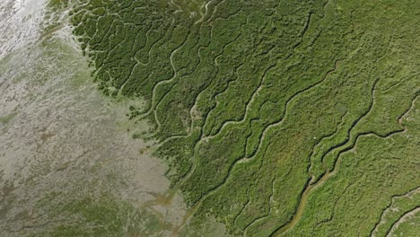 Satellitenähnlicher-Blick-Auf-Malerische-Überschwemmungsgebiete,-Gezeitenlandschaft,-Luftaufnahme