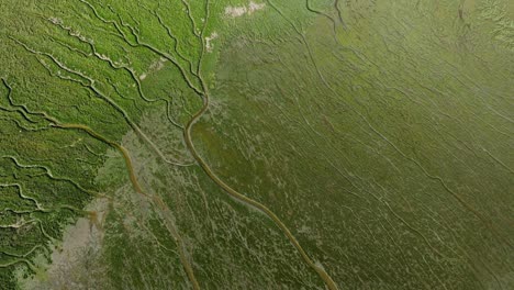 Luftparallaxe-Oder-Satellitenähnliche-Ansicht-Der-Schwalben-van-Voorne-Auen,-Gezeitenlandschaft
