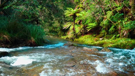A-serene-river-gracefully-winding-through-a-lush-forest,-offering-a-tranquil-escape-into-the-heart-of-nature's-pristine-beauty
