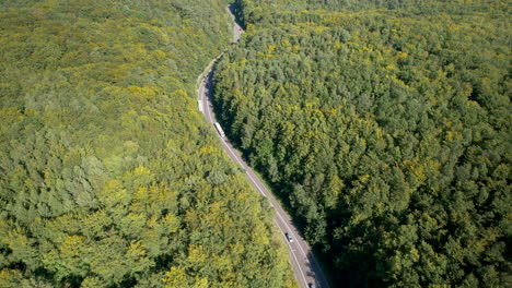 Aerial-tilt-up-shot-of-traffic-on-road-between-dense-forest-wood