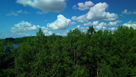 A-drone-view-of-a-lush-forest,-lake,-and-azure-skies-with-white-clouds