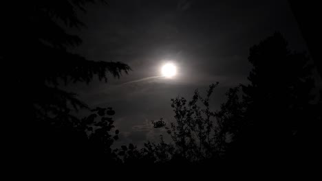 Geheimnis-Im-Mondlicht:-Eindringliche-Waldsilhouetten,-Dunkle-Wolken-Und-Die-Geheimnisse-Einer-Kühlen-Nacht-–-Horrorbilder