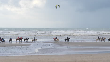 Kitesurfing-and-Horseback-Riding-on-the-Beach-on-a-Windy-Day-TRACK