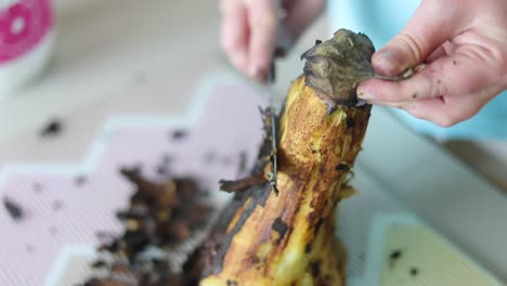 Roasted-American-Eggplant-Peel-Off-The-Skin-Using-A-Knife