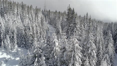 Aerial-footage-of-a-forest-of-fir-trees-laden-with-snow,-crossed-by-a-forest-road-leading-up-to-a-telecommunication-antenna-shrouded-in-fog-during-windy,-cold-weather-with-sun-and-clouds