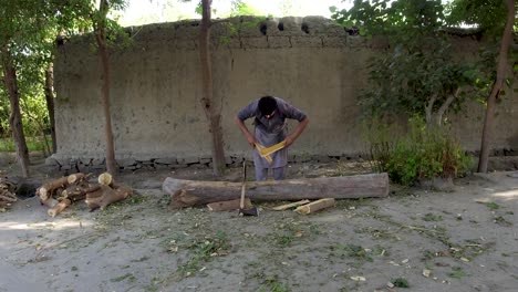 Wood-Chopping