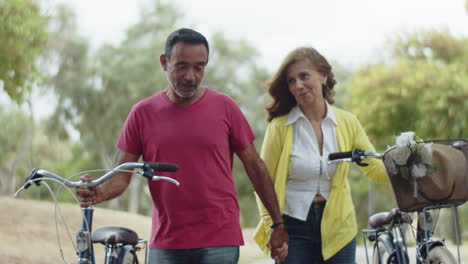 Älteres-Paar,-Das-Im-Sommer-Mit-Fahrrädern-Spaziert-Und-Händchen-Hält