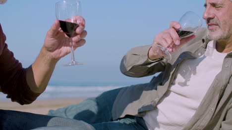 Senior-men-sitting-on-beach-and-drinking-wine