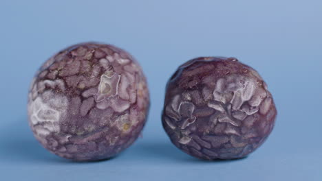 Two-whole-passion-fruit-on-isolated-blue-surface
