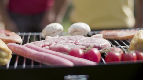 Close-up-of-vegetables-and-meat-on-barbeque-grill-in-summer