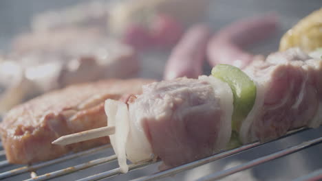 Extreme-close-up-of-yummy-kebab-being-prepared-on-barbeque-grill