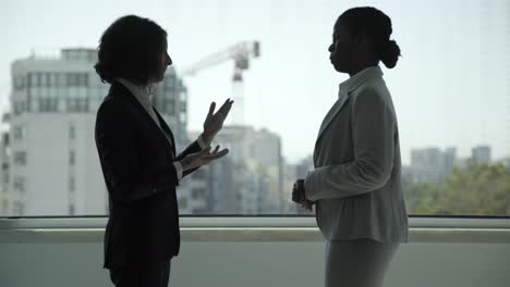 Professional-businesswomen-talking