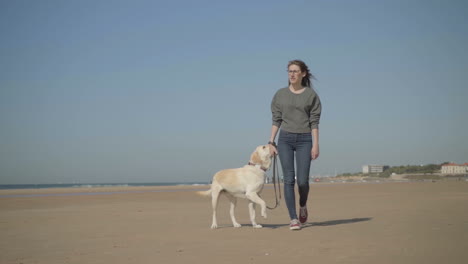 Calm-woman-walking-with-pet-on-sandy-beach-and-looking-at-sea.