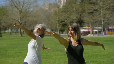 Zwei-Frauen-Praktizieren-Yoga-Im-Sonnigen-Sommerpark.