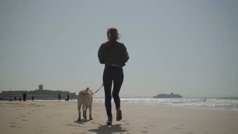 Rear-view-of-young-girl-running-with-dog-on-sandy-seashore.