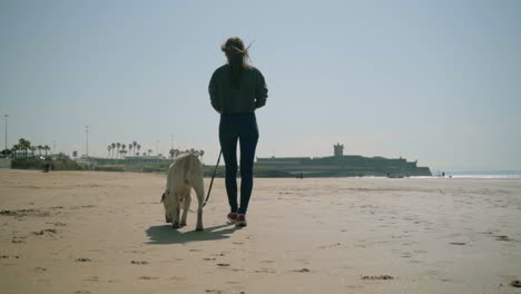 Back-view-of-young-lady-walking-with-dog-on-sandy-beach.