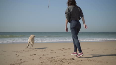 Slow-motion-shot-of-young-woman-playing-with-dog-on-seashore.