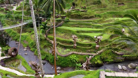 Terrazas-Del-Parque-Alas-Harum-Con-Sus-Lugares-Para-Tomar-Fotografías-Y-Estatuas-De-La-Diosa-Del-Arroz-En-Ubud,-Bali.
