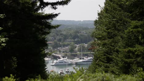 Mega-yachts-tour-cruise-boats-anchored-off-of-dock,-wind-blows-through-trees