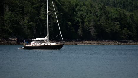 Black-and-white-sailboat-anchored-to-mooring-buoy-with-lush-green-forest-behind,-slow-motion