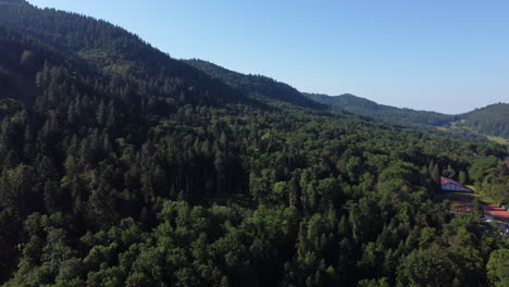 Black-Forest-in-Germany-on-a-Sunny-Day,-Aerial-Drone-Green-Landscape