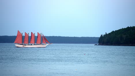 Multi-masted-tan-boat-with-red-sails-enters-marina-headed-to-shore-at-end-of-tour