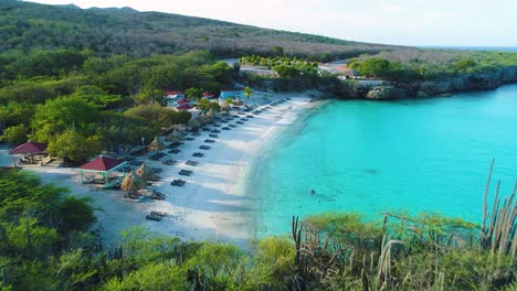 Drone-dolly-reveal-Grote-Knip-beach-Curacao-behind-shrubland-and-cactus