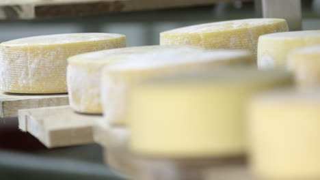 Focus-and-blur-shot-of-cheeses-in-winery