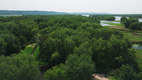 Forest-Trees-Surrounding-Mississippi-River-In-Minnesota,-USA