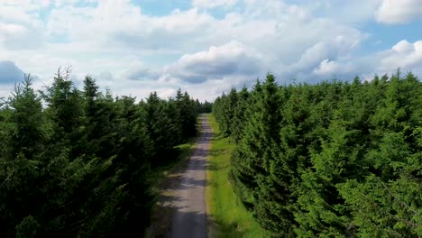 Drone-view-flying-over-trees-and-mountain-road-with-rising-angle