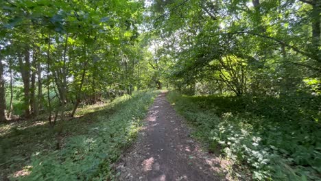 POV-Spaziergang-Entlang-Eines-Waldweges-An-Einem-Sommertag-Im-Südwesten-Finnlands