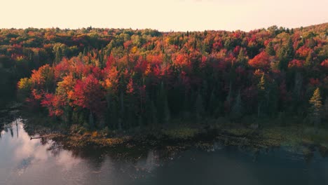 Drone-Disparó-Alrededor-De-árboles-En-La-Orilla-De-Un-Lago-En-El-Campo-De-Quebec-Durante-La-Temporada-De-Otoño,-Provincia-De-Quebec,-Canadá