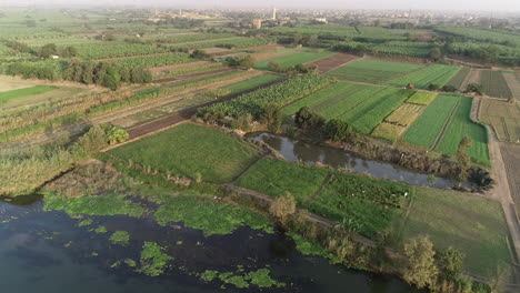 Aerial-shot-for-The-River-Nile-of-Egypt-in-Cairo-surrounded-by-the-green-lands-of-the-Nile-Valley-beside-Giza-and-Delta-of-North-Egypt