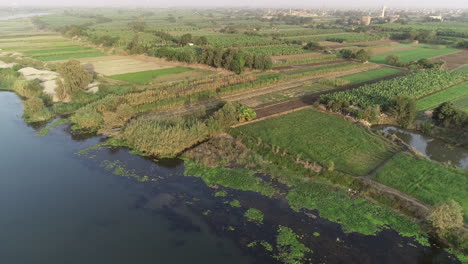 The-River-Nile-of-Egypt-surrounded-by-the-green-lands-of-the-Nile-Valley
