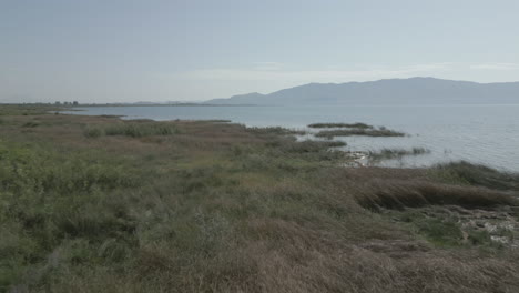 Drohnenschuss-Beim-Flug-über-Den-Shkodra-See-In-Albanien-Mit-Bergen-Im-Hintergrund-Und-Grüner-Pflanzengrasnatur-Darunter-An-Einem-Sonnigen-Tag-Mit-Dunst-über-Dem-Seestamm