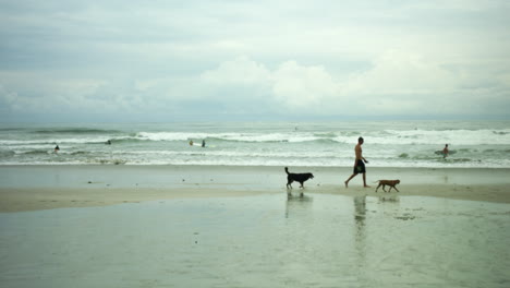 Wide-shot-of-man-walking-with-his-pets-on-the-beach