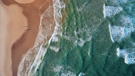 Aerial-top-down-shot-of-waves-of-Atlantic-Ocean-reaching-golden-beach-with-people-in-summer