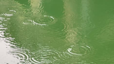 Regentropfen-über-Dem-Smaragdgrünen-Flusswasser-In-Florenz,-Oregon,-USA