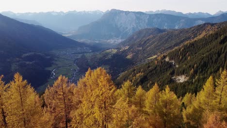 Wunderschöne-Filmische-Luftaufnahmen-Von-Orangefarbenen-Nadelbäumen-Im-Herbst-Auf-Einem-Grashügel
