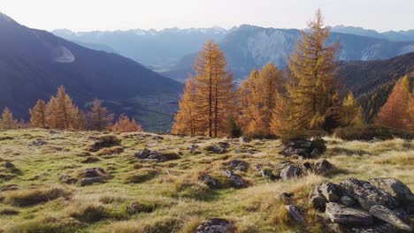 Wunderschöne-Filmische-Luftaufnahmen-Von-Orangefarbenen-Herbstbäumen-Auf-Einem-Grashügel