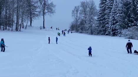 Families-and-people-having-fun-on-ski-slope