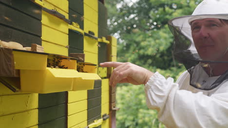 Beekeeper-observing-hive-entrance,-pointing-at-bees-on-the-landing-board