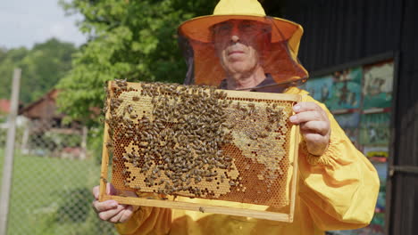 Porträt-Eines-Imkers,-Der-Einen-Bienenstockrahmen-Mit-Waben-Und-Bienen-Hält